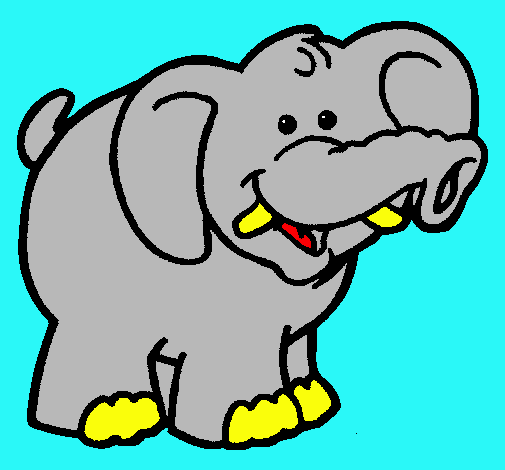 Elefante