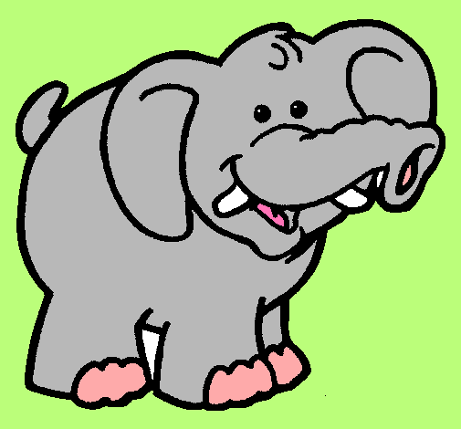 Elefante