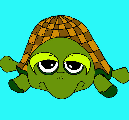 Tortuga