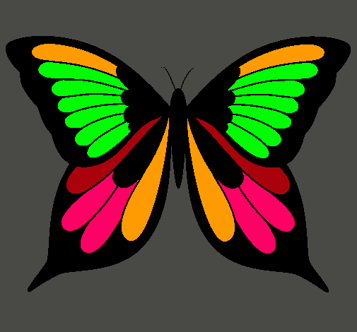 Mariposa