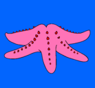 Dibujo Estrella de mar pintado por taniadelrocio