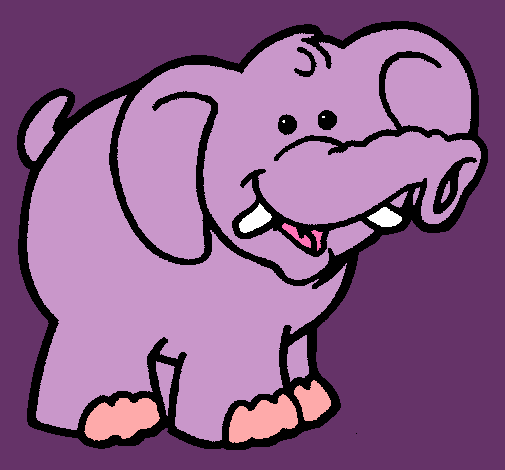 Elefante