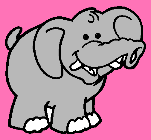 Elefante