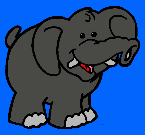 Elefante