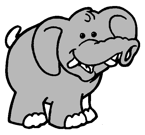 Elefante