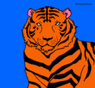 Dibujo Tigre pintado por marc