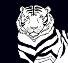 Dibujo Tigre pintado por shaila