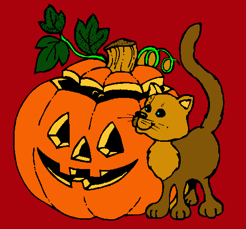 Calabaza y gato