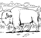 Dibujo Búfalo  pintado por max