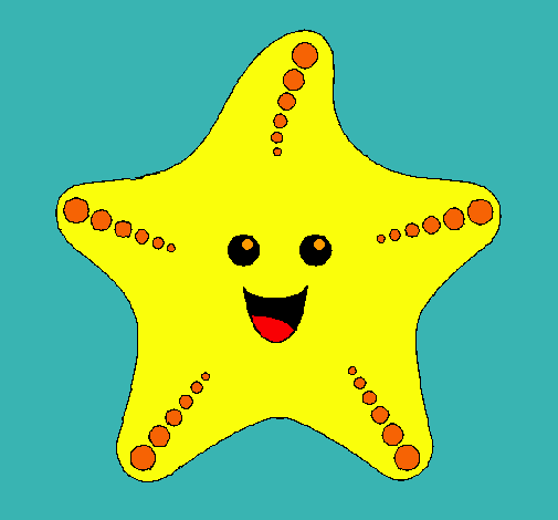 Estrella de mar