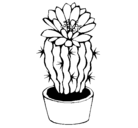 Dibujo Cactus con flor pintado por inma