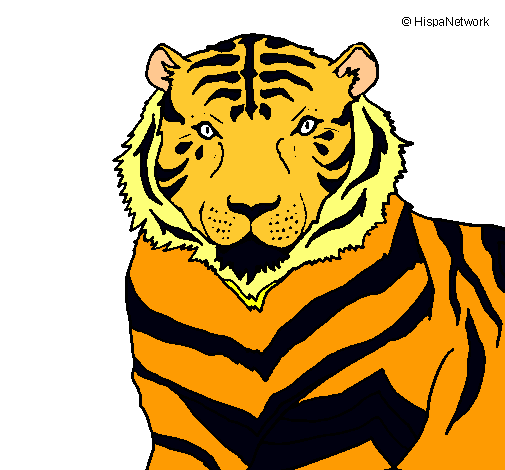 Tigre