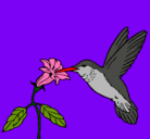 Dibujo Colibrí y una flor pintado por m.an