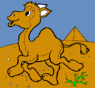 Dibujo Camello pintado por sebastian