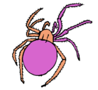 Dibujo Araña venenosa pintado por genaro