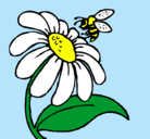 Dibujo Margarita con abeja pintado por carlosandres