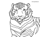 Dibujo Tigre pintado por zoraya