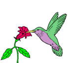 Dibujo Colibrí y una flor pintado por yluki