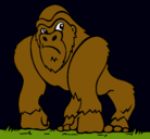 Dibujo Gorila pintado por lobosombra