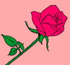 Dibujo Rosa pintado por alisonydalgo