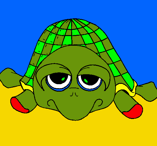 Tortuga