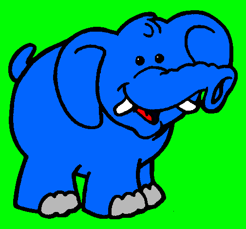 Elefante