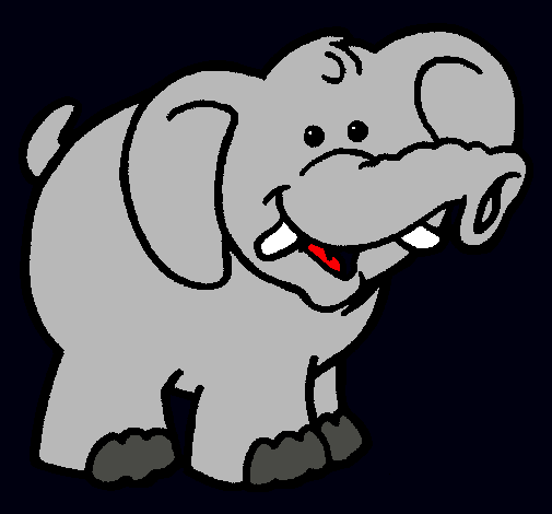 Elefante