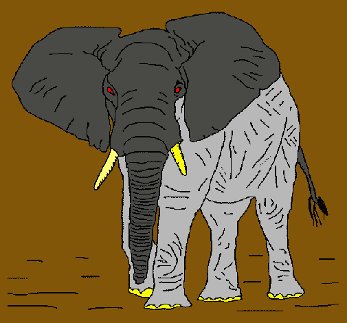 Elefante