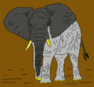Dibujo Elefante pintado por DANIEL
