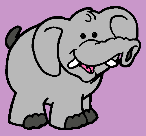 Elefante