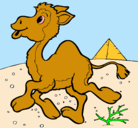 Dibujo Camello pintado por dana