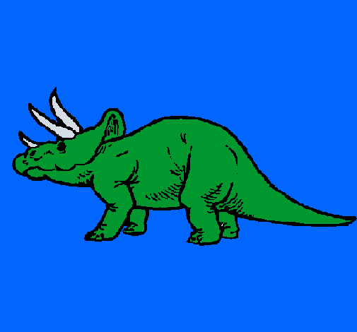 Triceratops