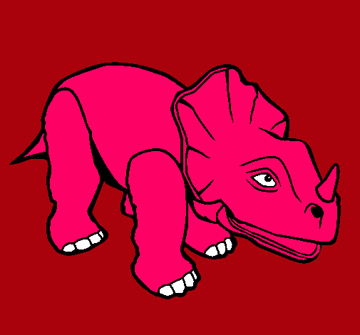 Triceratops II