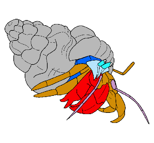 Cangrejo ermitaño