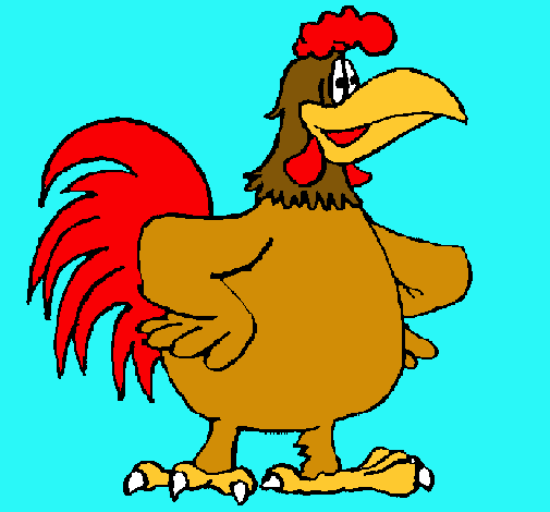 Gallo