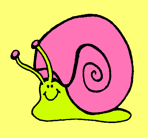 Caracol 