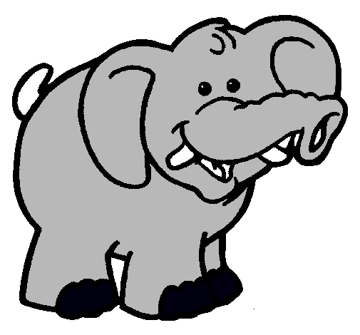 Elefante