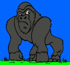 Dibujo Gorila pintado por ALBERTO