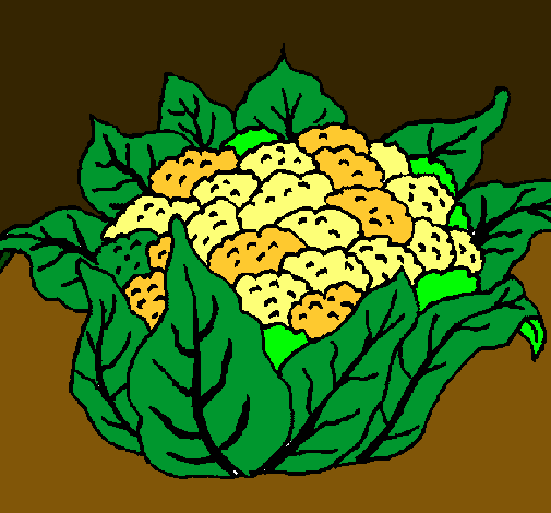 coliflor