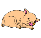 Dibujo Cerdo durmiendo pintado por nicole