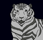 Dibujo Tigre pintado por deisy