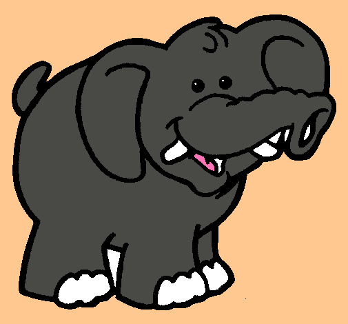 Elefante