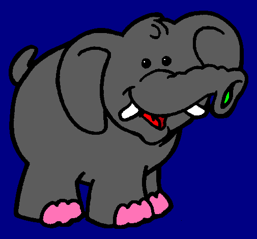 Elefante