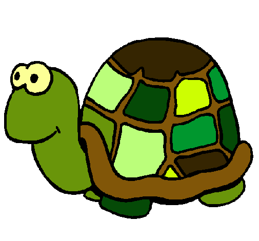 Tortuga