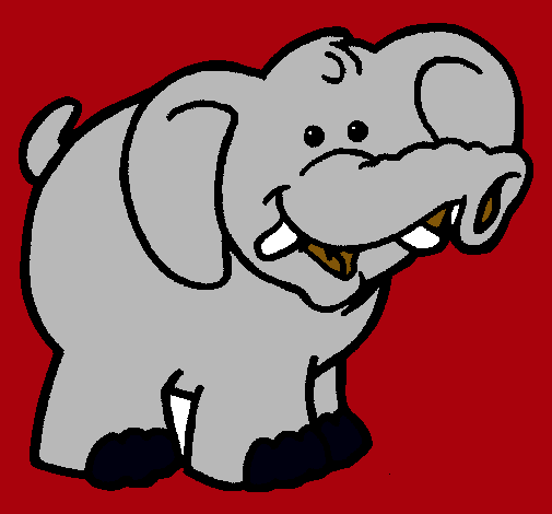 Elefante