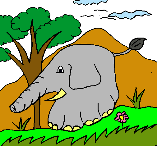 Elefante