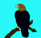 Dibujo Águila en una rama pintado por sebas