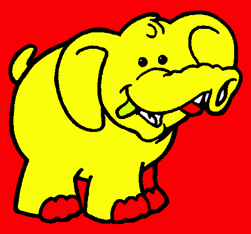 Elefante