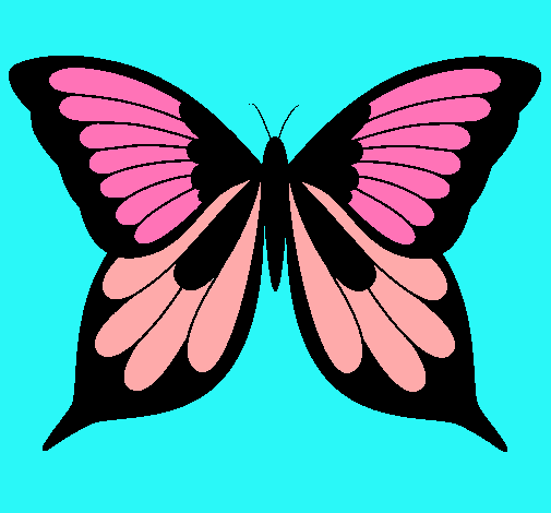 Mariposa