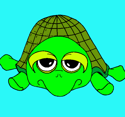 Tortuga